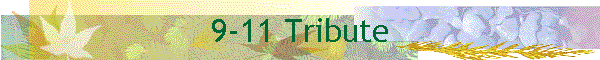 9-11 Tribute