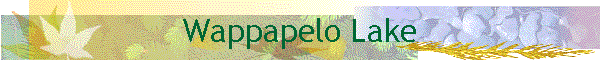 Wappapelo Lake